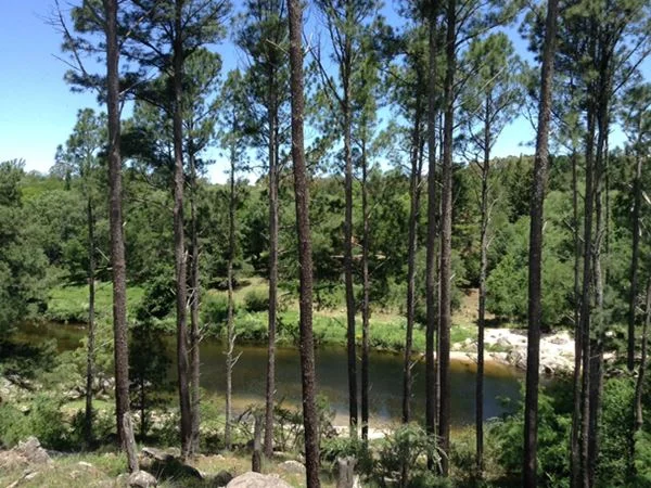 Imagen de Cabañas en Los Reartes - cabanas_tannenwaldt_3.webp